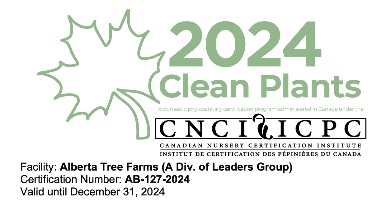 Clean Plants: ATF 2024